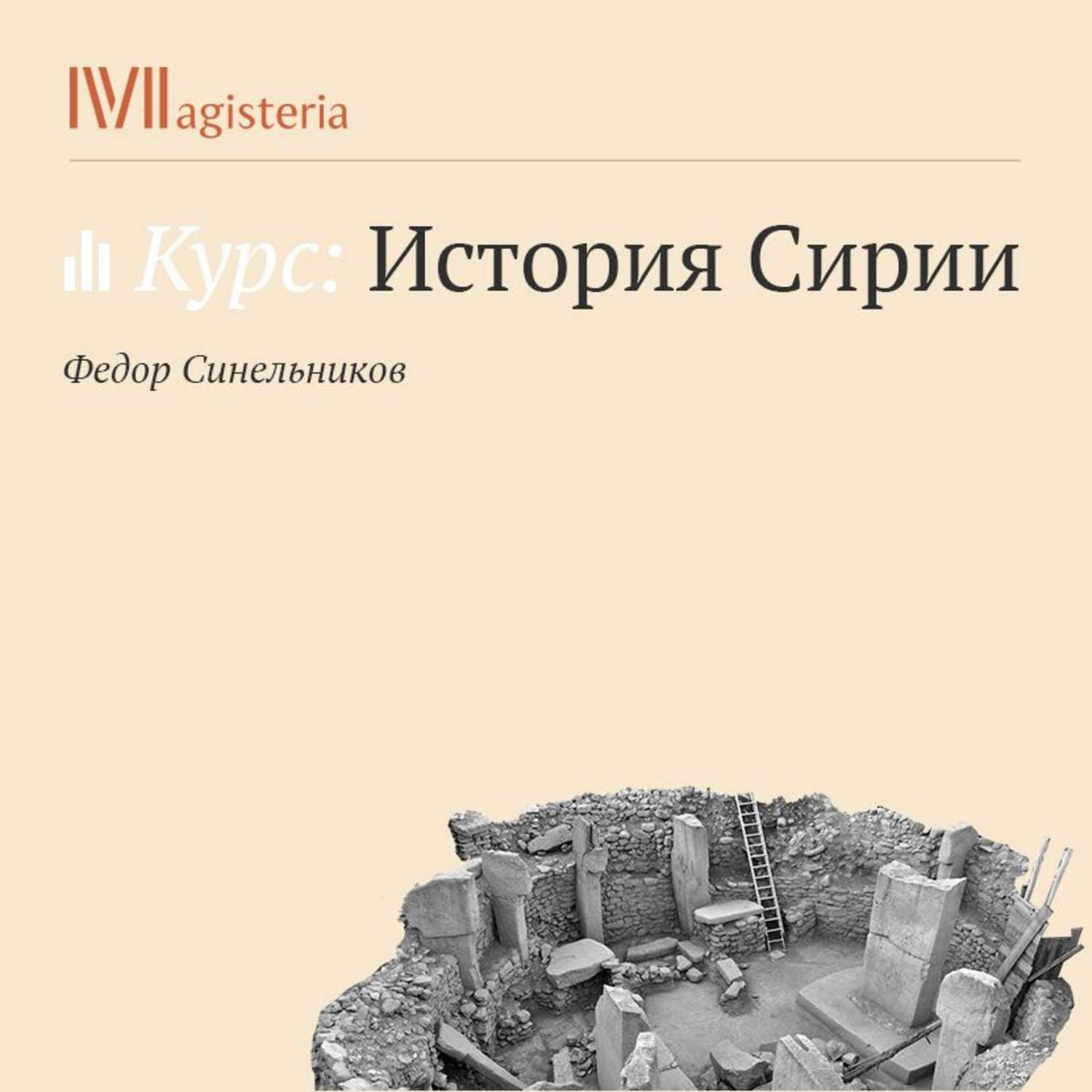 Обложка книги «Борьба за республику»