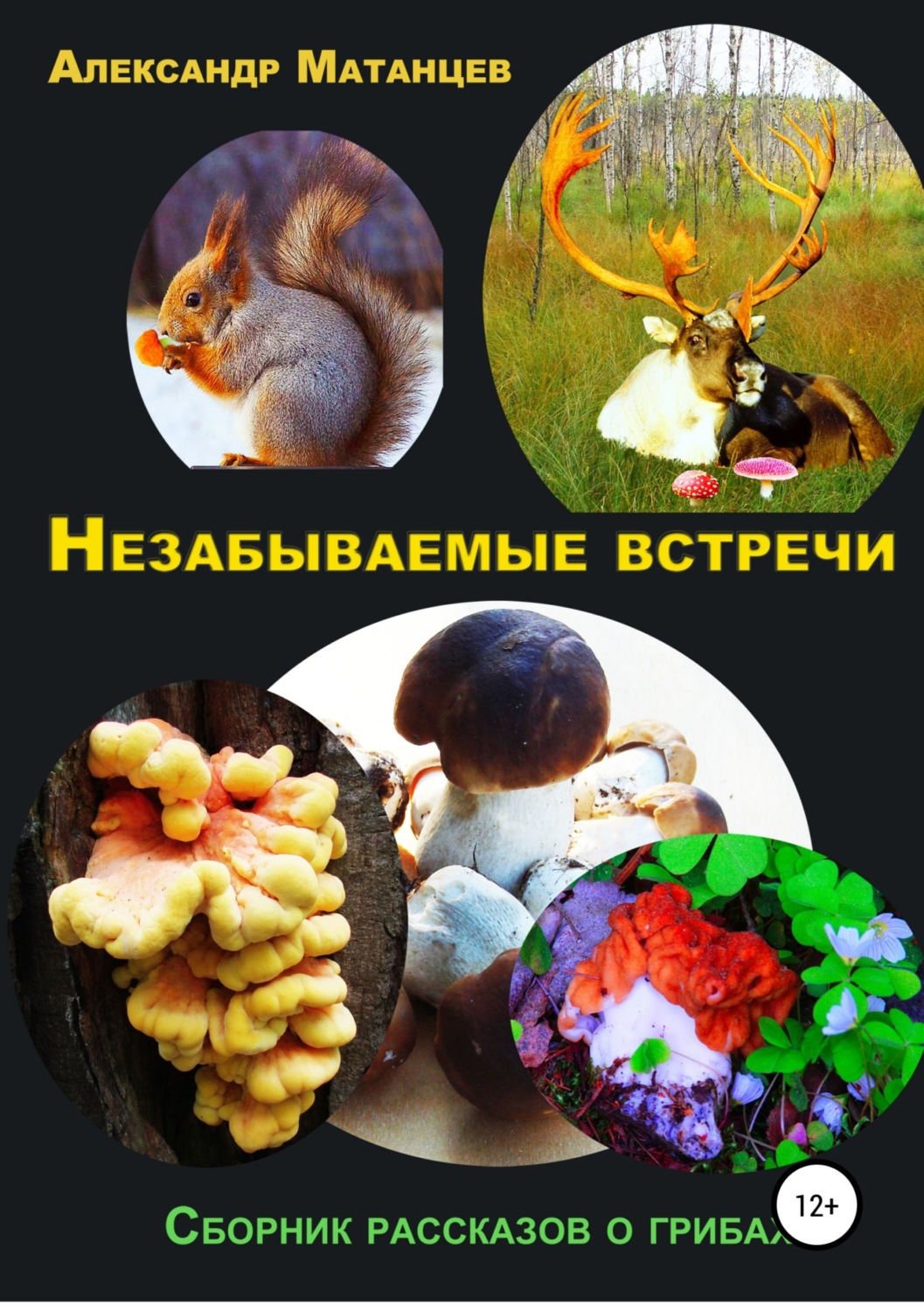 Обложка книги «Незабываемые встречи. Сборник рассказов о грибах»