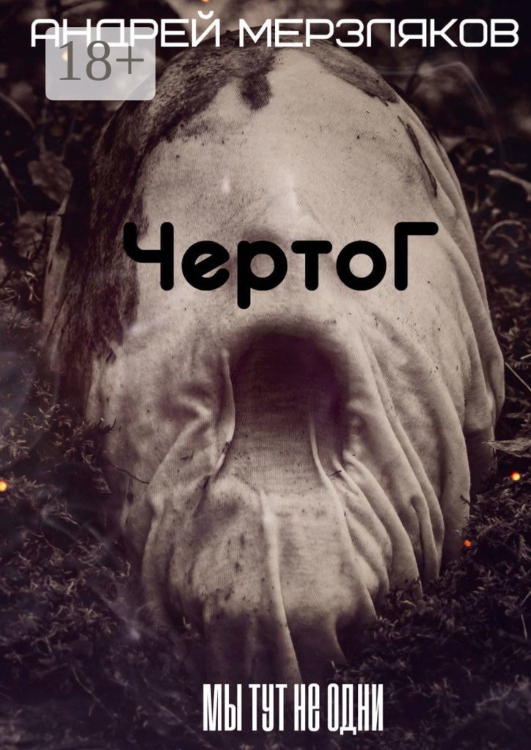 Обложка книги «Чертог»