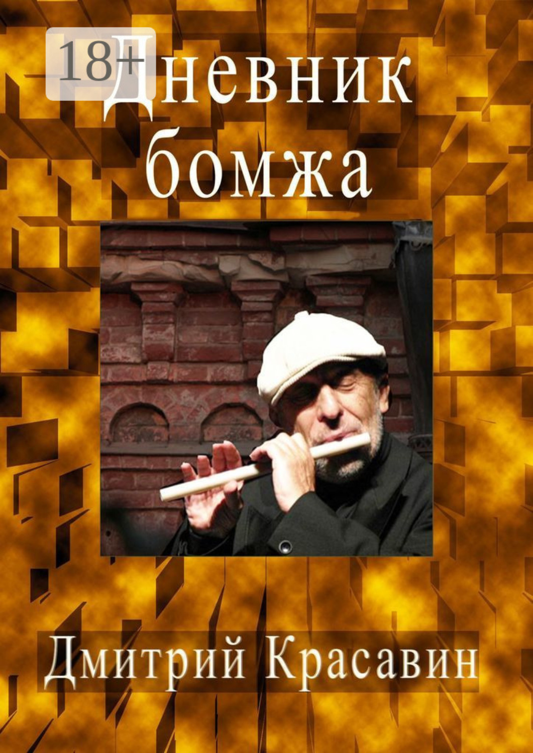 Обложка книги «Дневник БОМЖА»