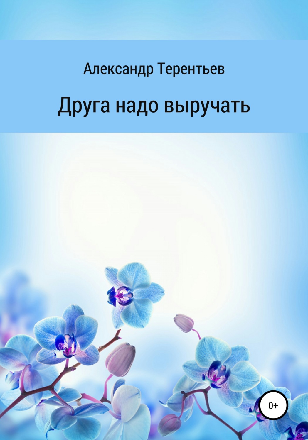 Обложка книги «Друга надо выручать»