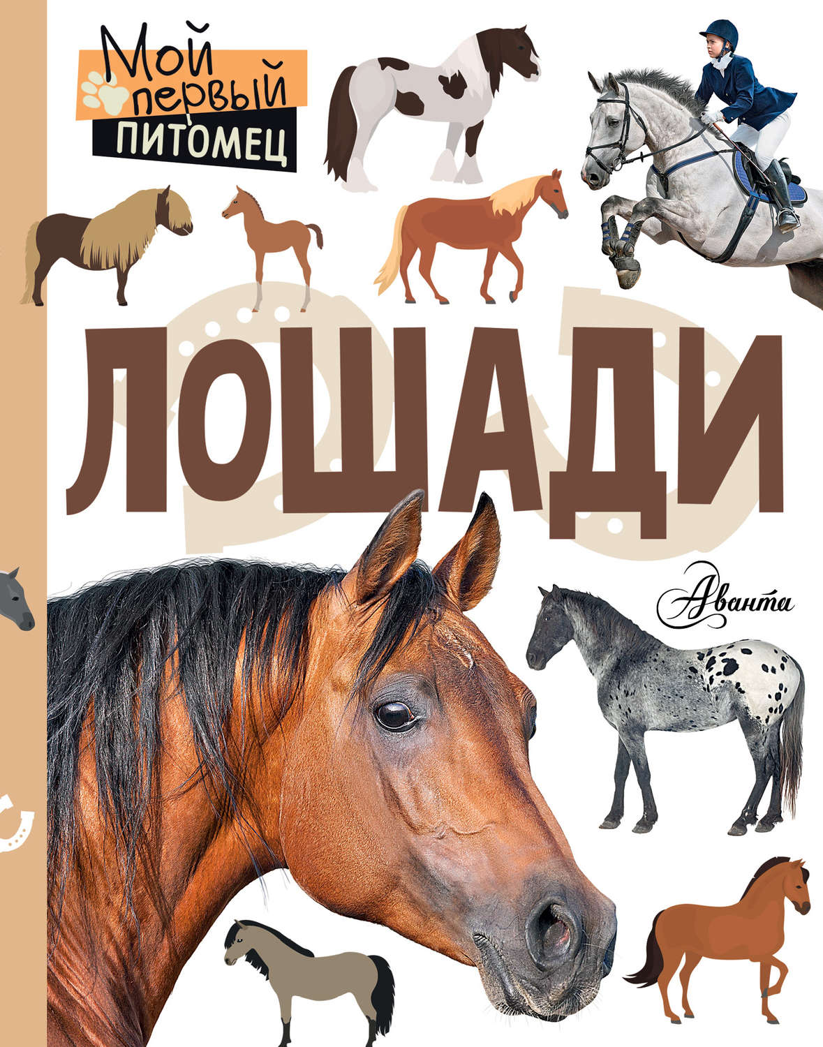 Обложка книги «Лошади»