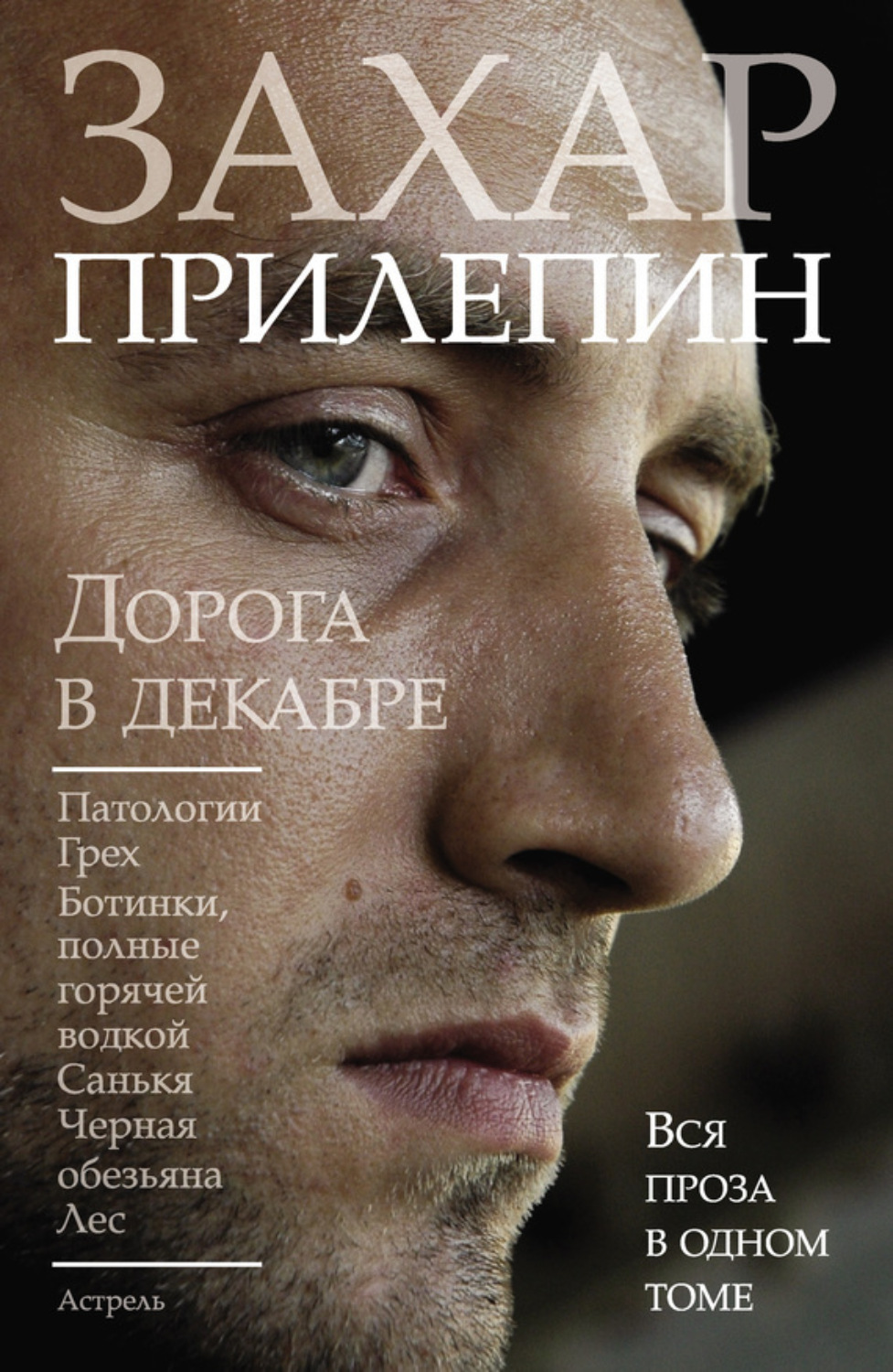 Обложка книги «Дорога в декабре (сборник)»