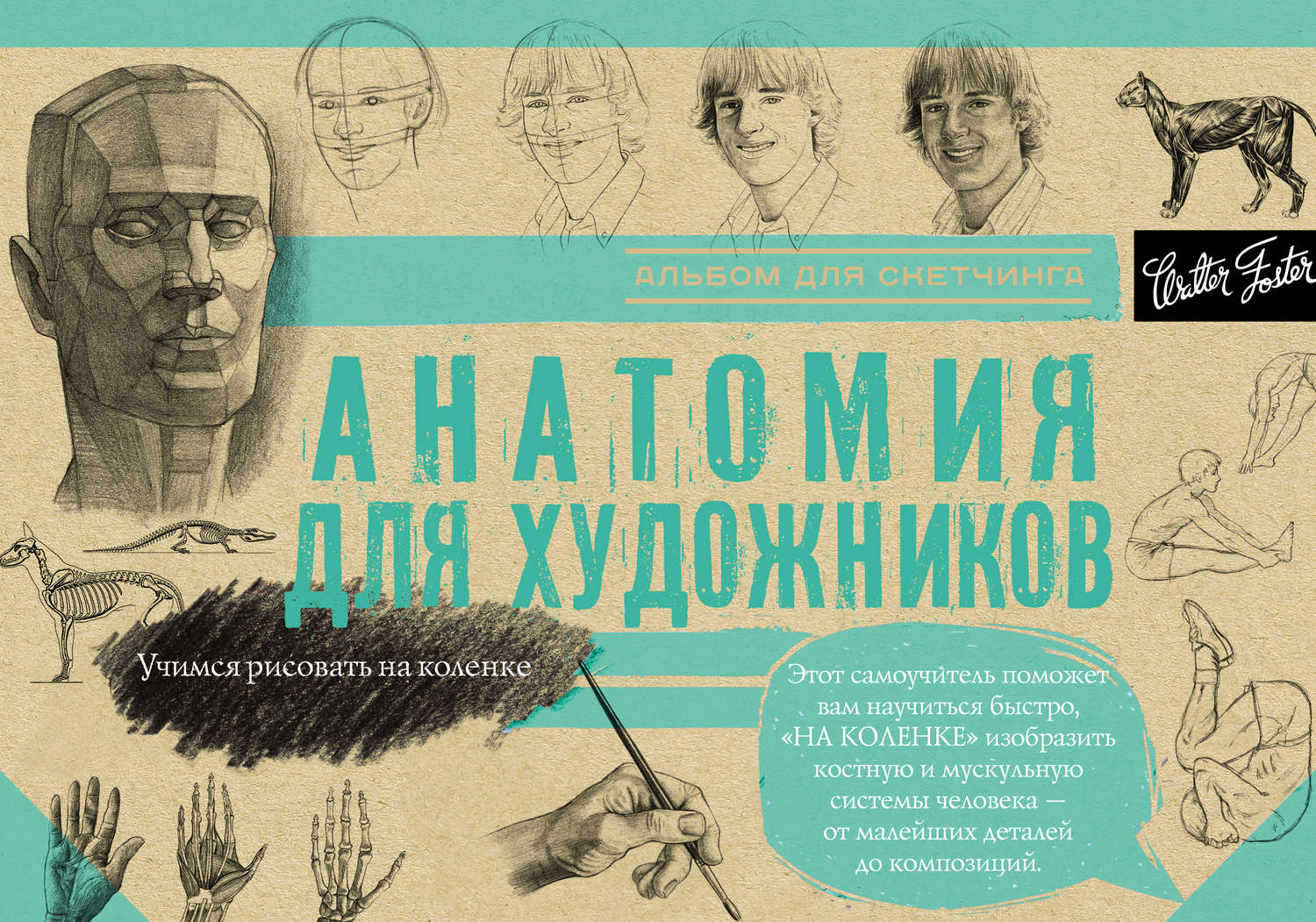Обложка книги «Анатомия для художников. Альбом для скетчинга»