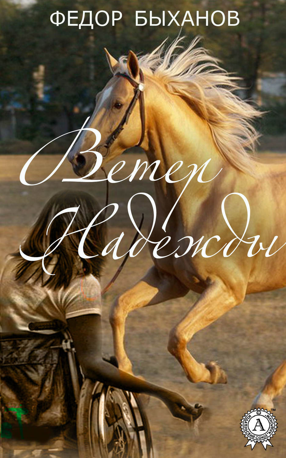 Обложка книги «Ветер Надежды»
