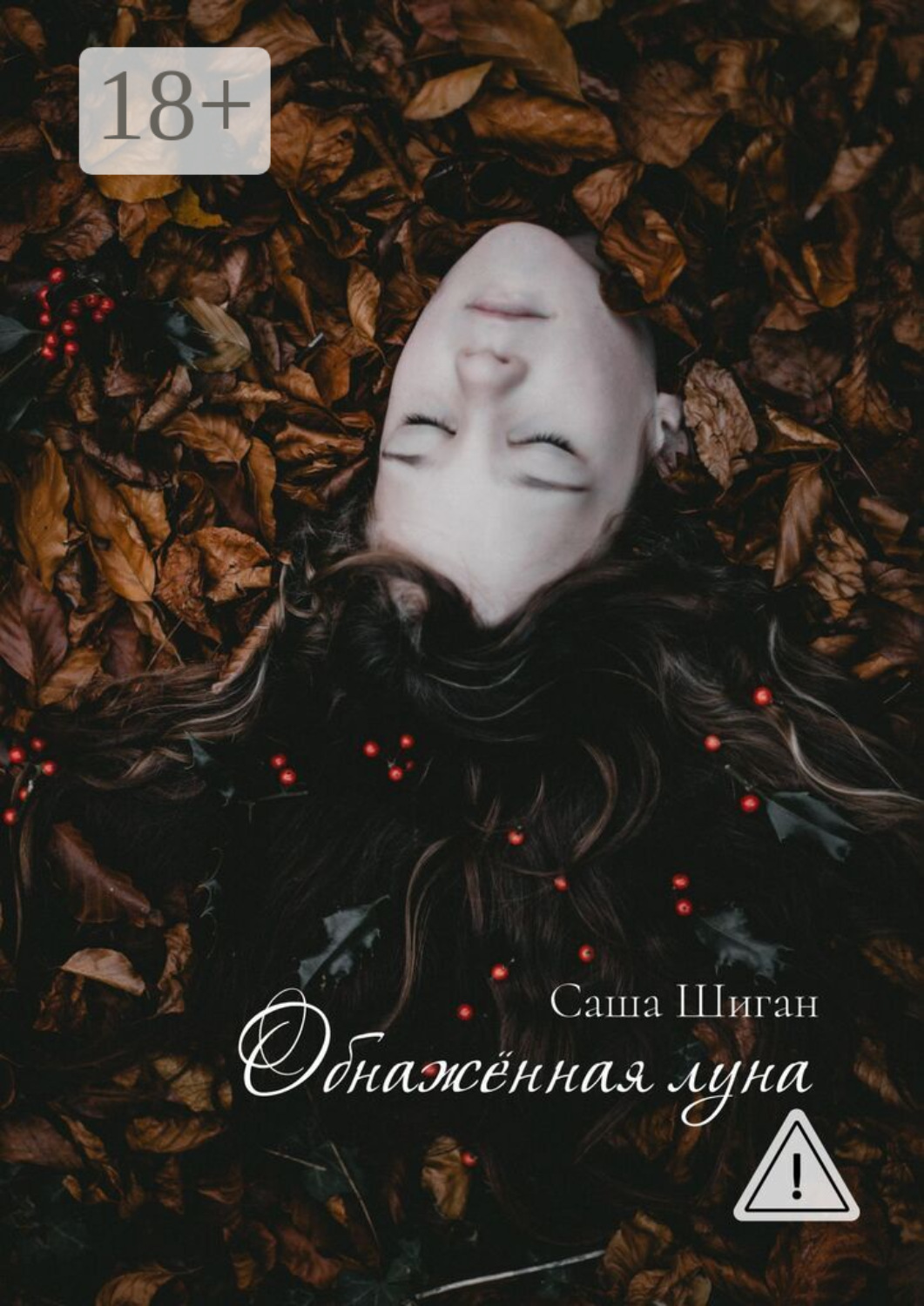 Обложка книги «Обнажённая луна»