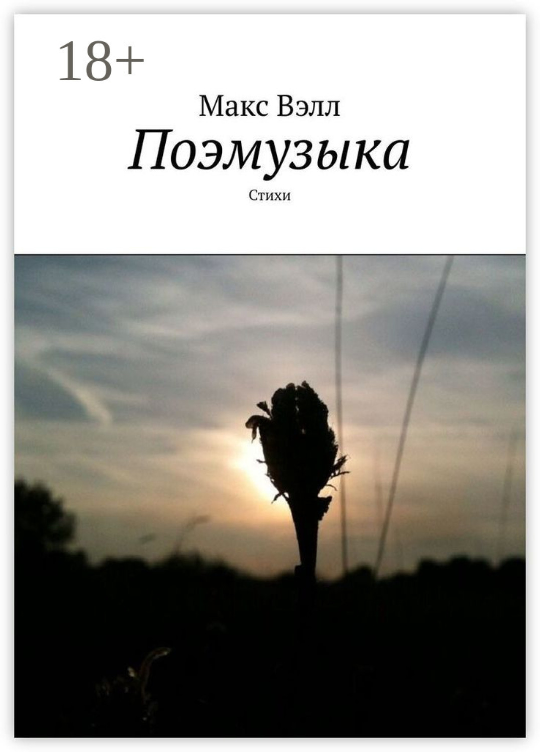 Обложка книги «Поэмузыка. Стихи»