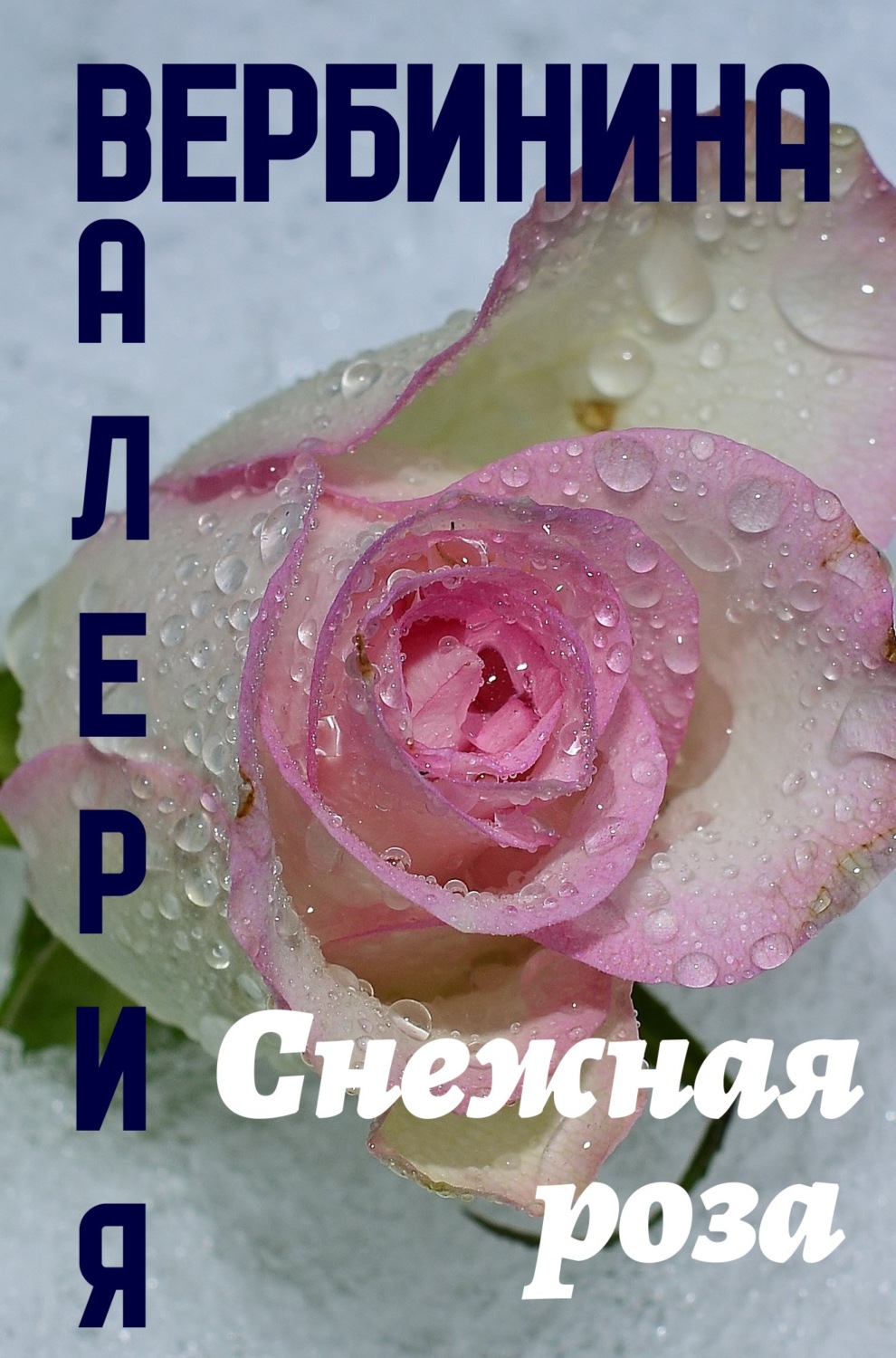 Обложка книги «Снежная роза»