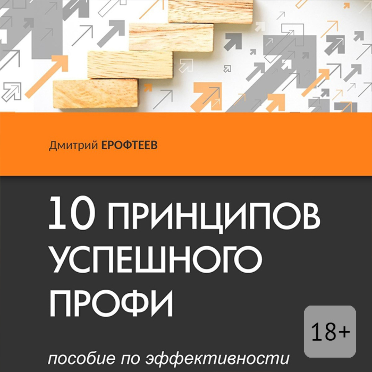 Обложка книги «10 принципов успешного профи. Пособие по эффективности»