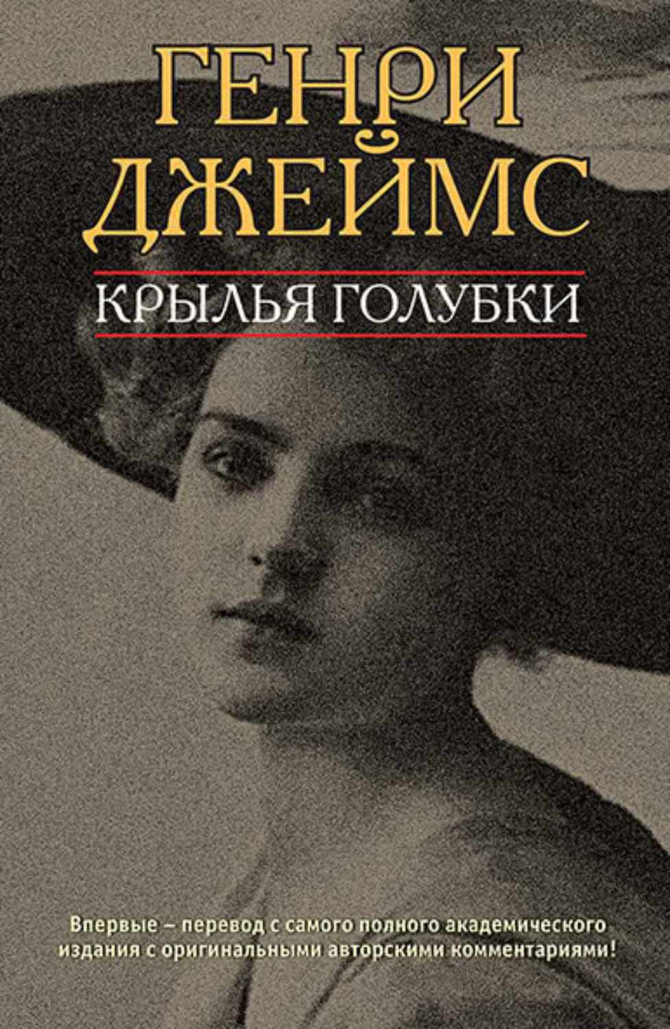 Обложка книги «Крылья голубки»