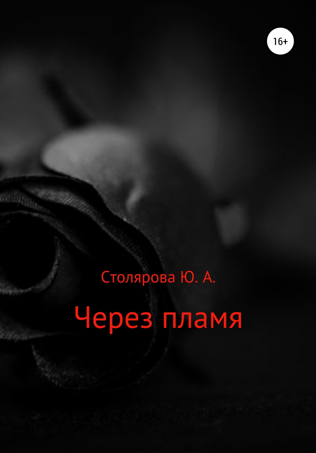 Обложка книги «Через пламя»