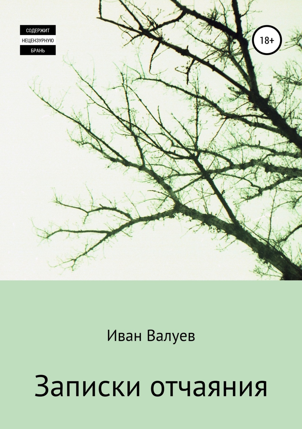Обложка книги «Записки отчаяния»