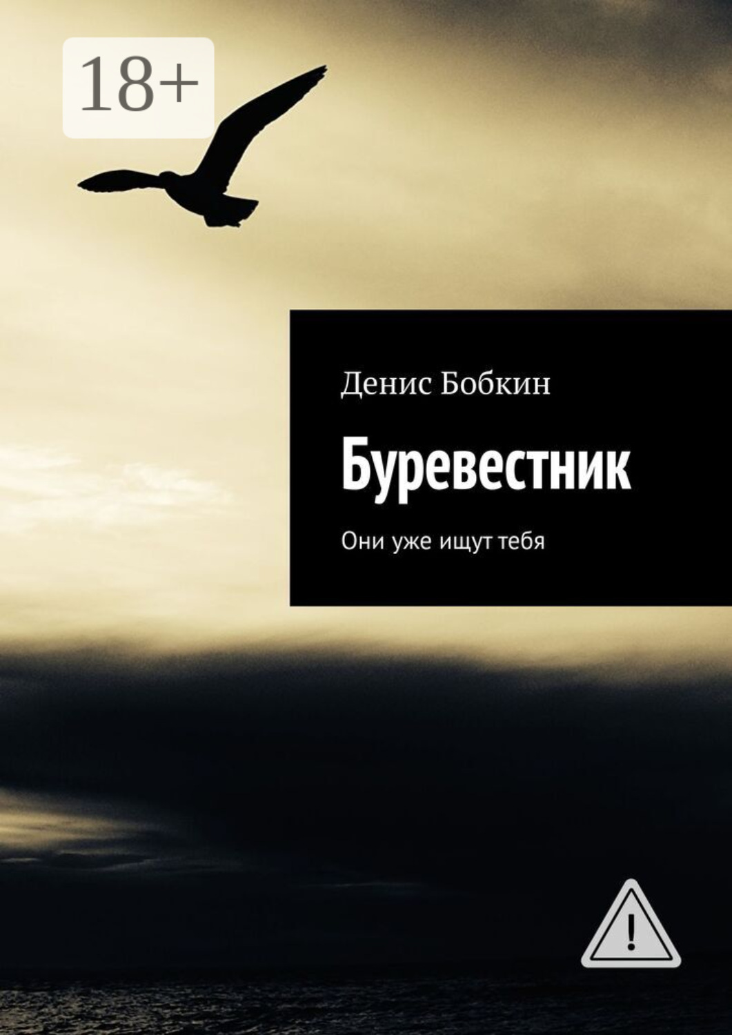 Обложка книги «Буревестник. Они уже ищут тебя»