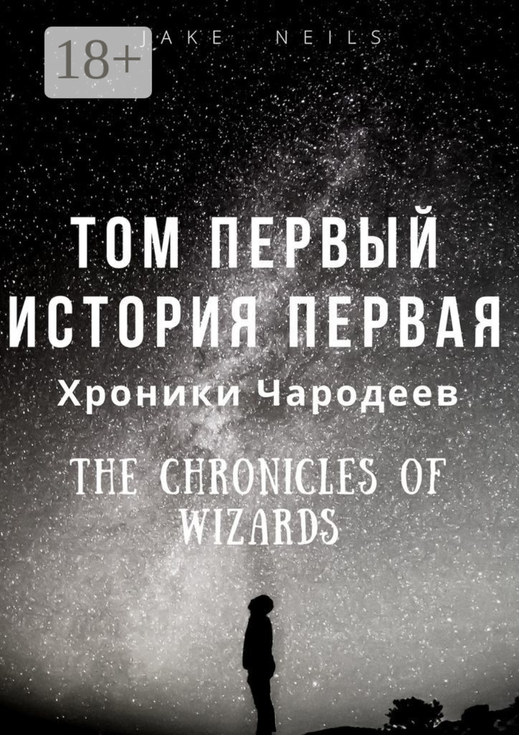 Обложка книги «Хроники Чародеев. Том I. История 1»