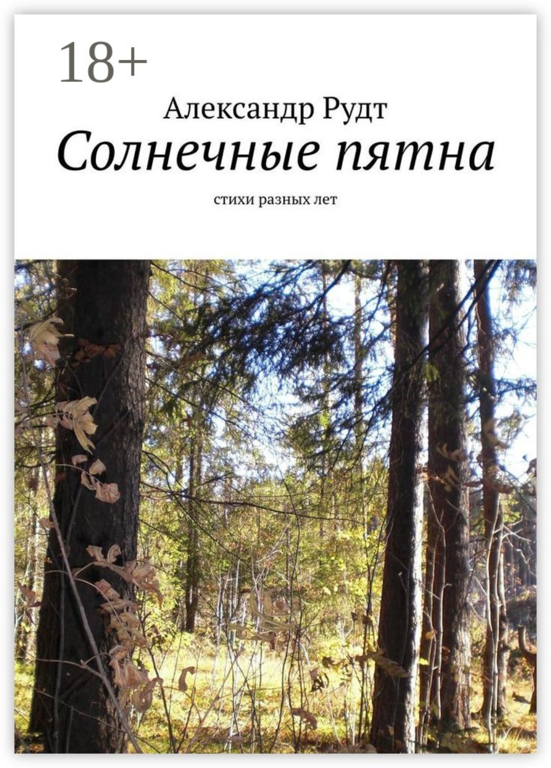 Обложка книги «Солнечные пятна. Стихи разных лет»