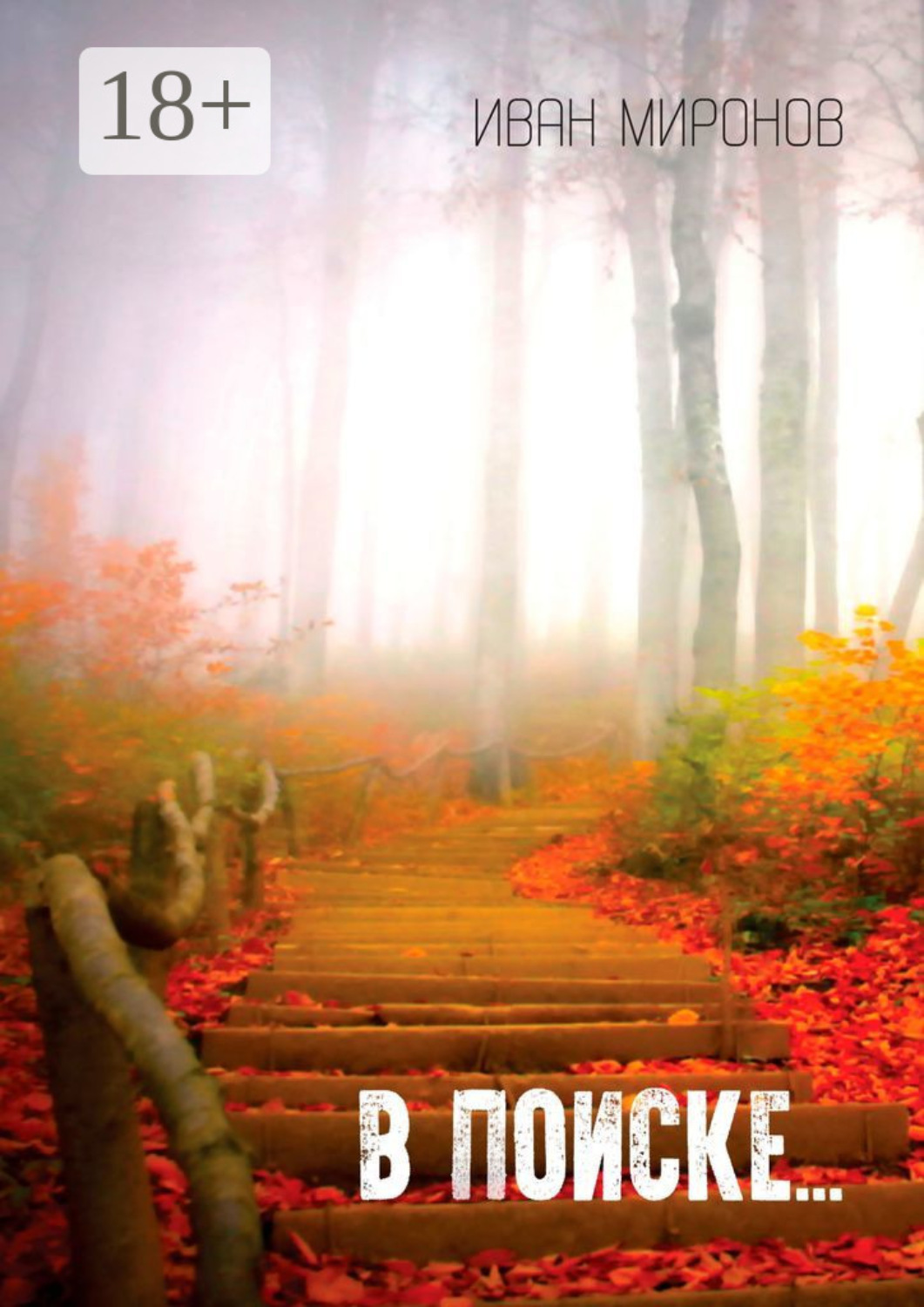 Обложка книги «В поиске…»