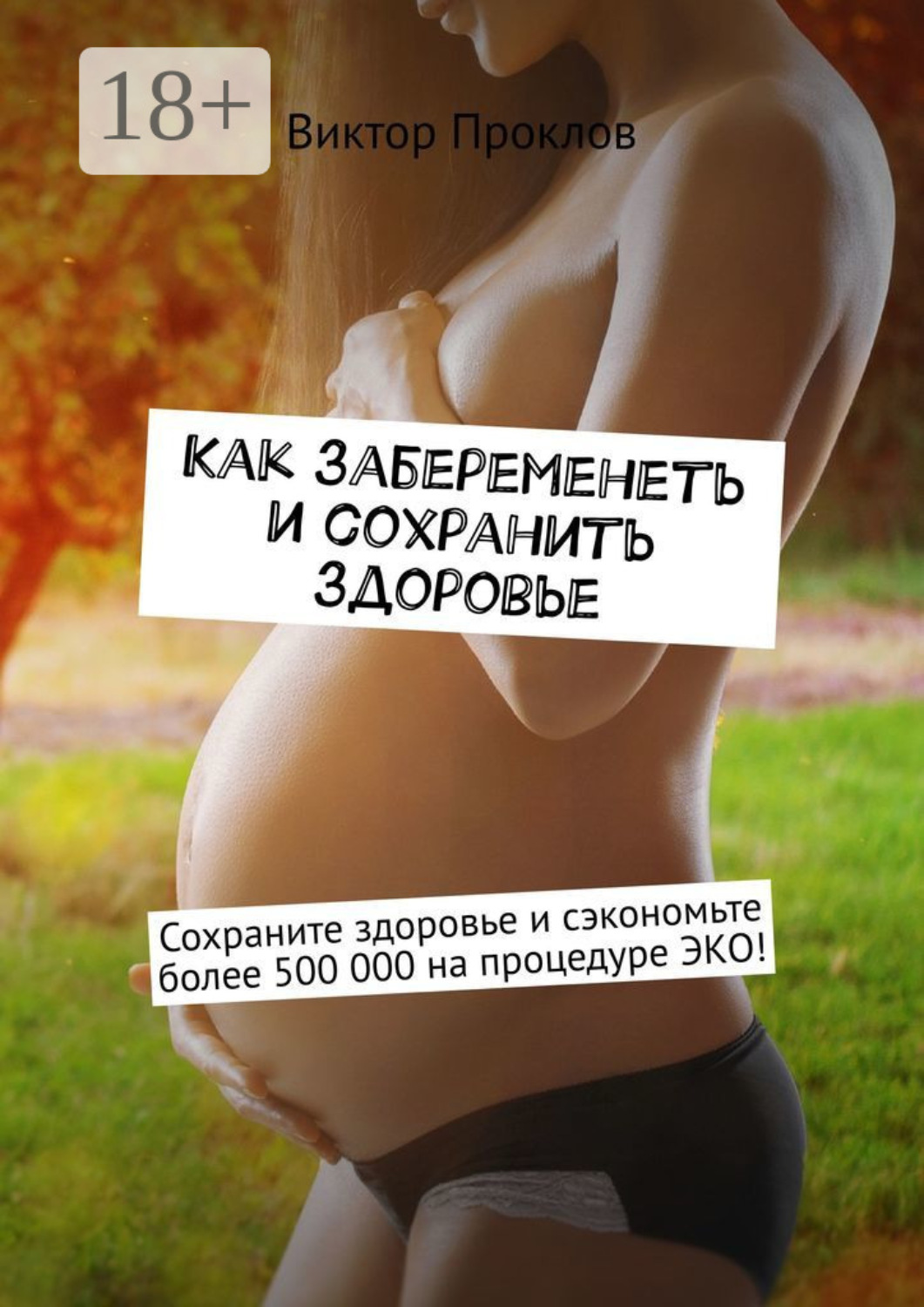 Обложка книги «Как забеременеть и сохранить здоровье»