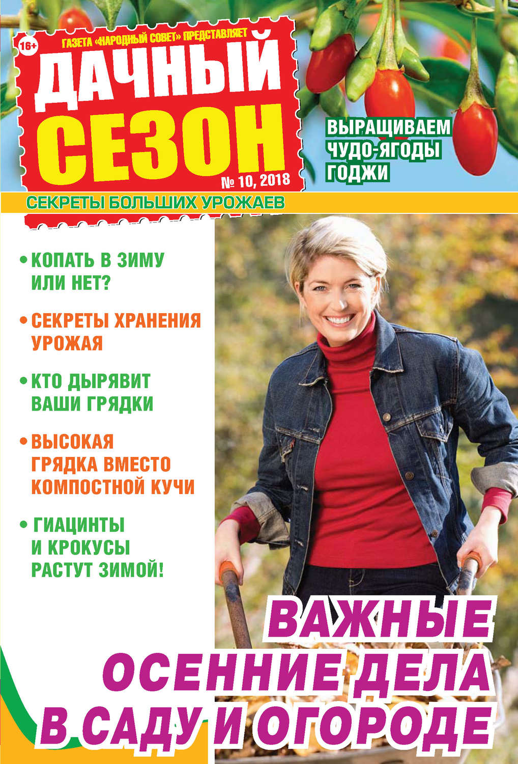 Обложка книги «Дачный сезон №10/2018»