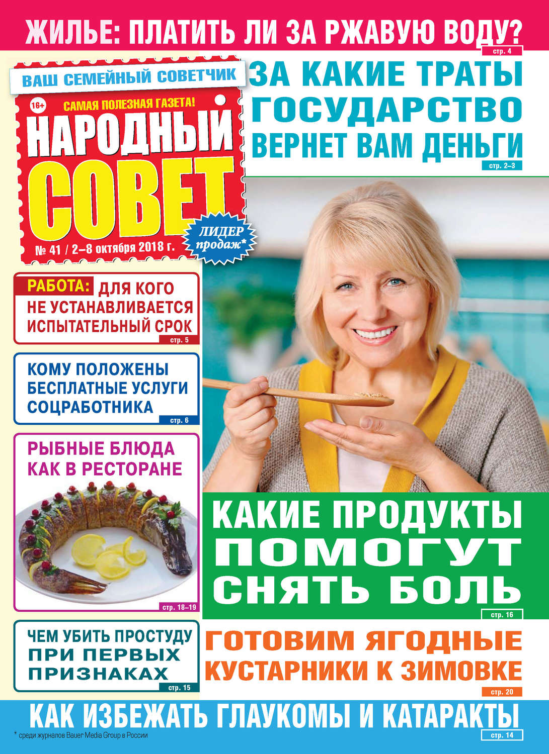 Обложка книги «Народный совет №41/2018»