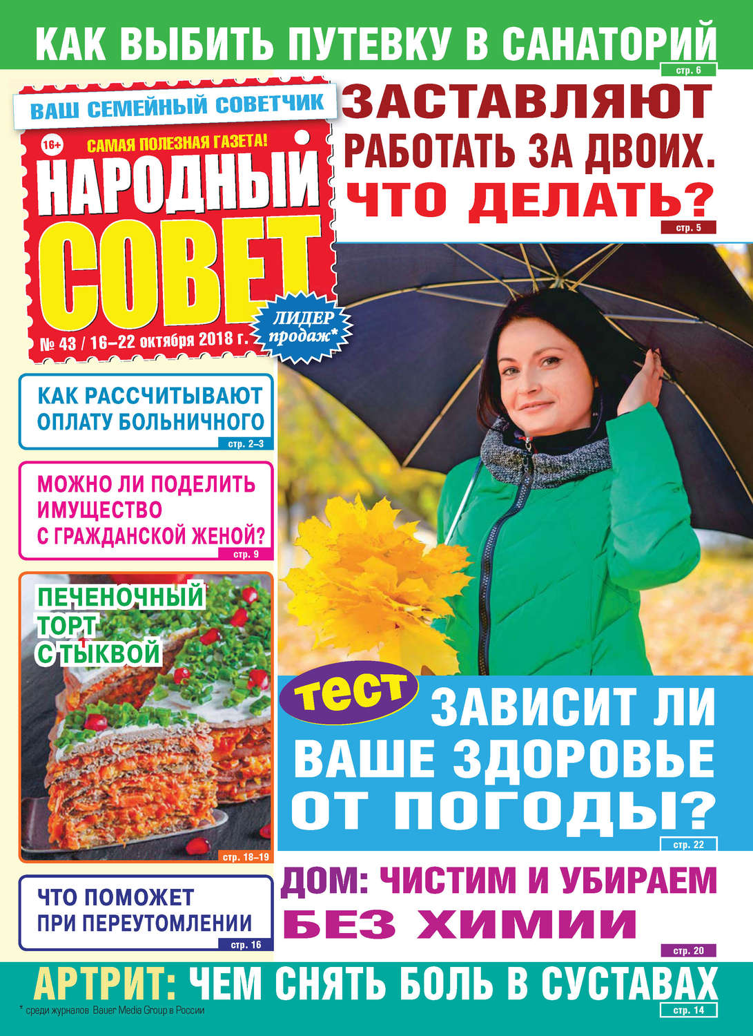 Обложка книги «Народный совет №43/2018»