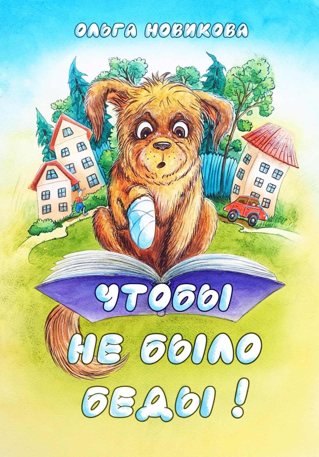 Обложка книги «Чтобы не было беды!»