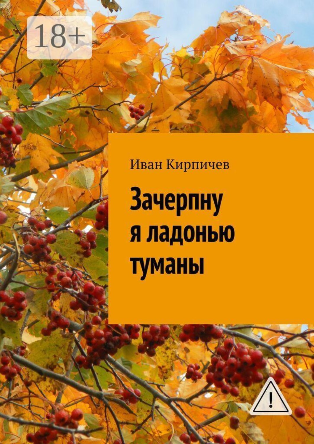 Обложка книги «Зачерпну я ладонью туманы»