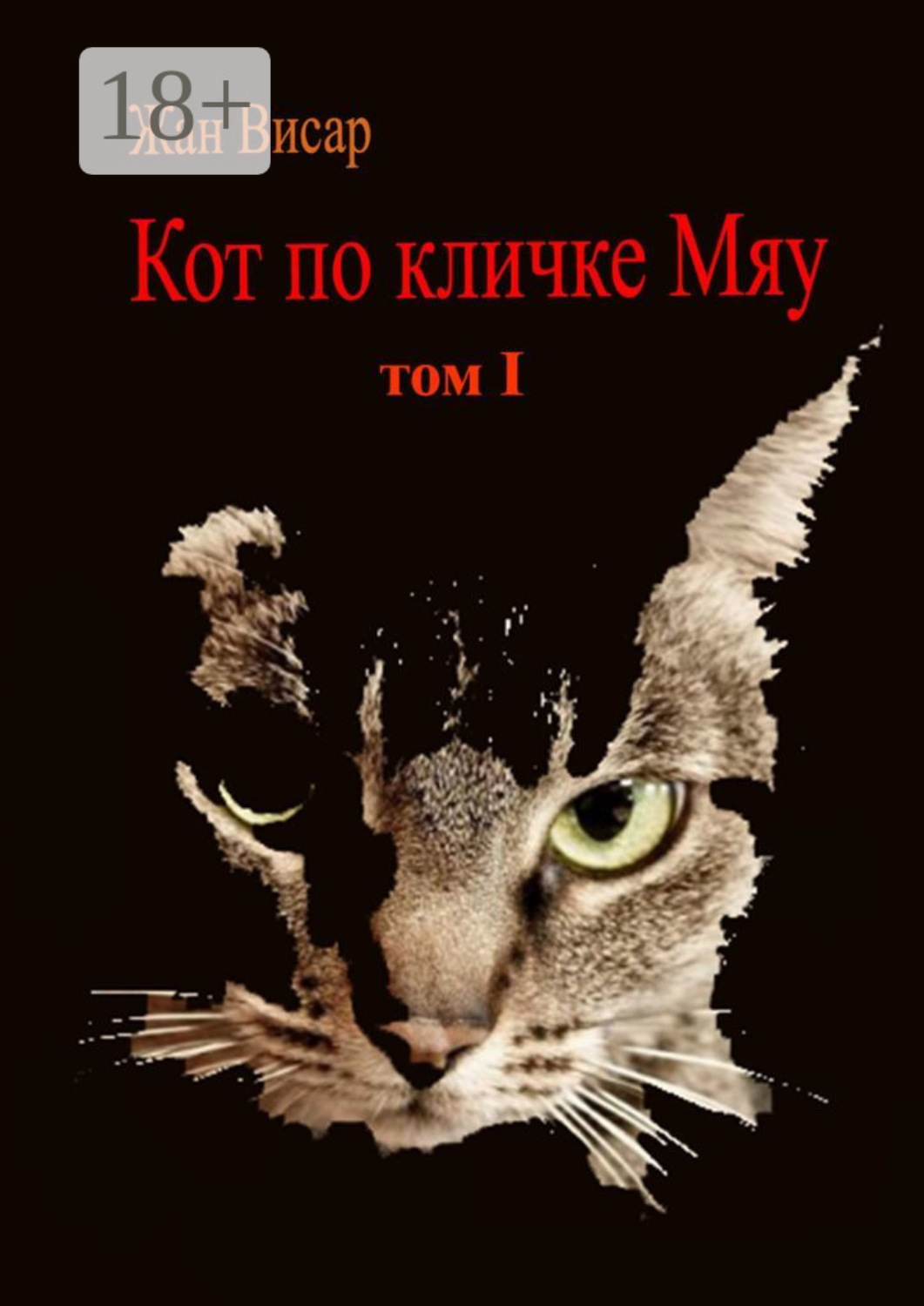 Обложка книги «Кот по кличке Мяу. Том I»