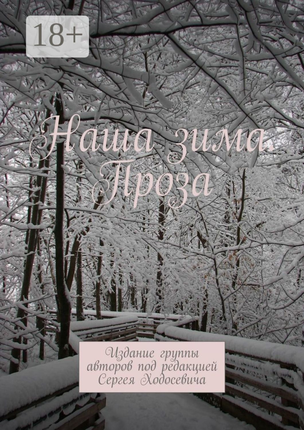 Обложка книги «Наша зима. Проза. Издание группы авторов под редакцией Сергея Ходосевича»