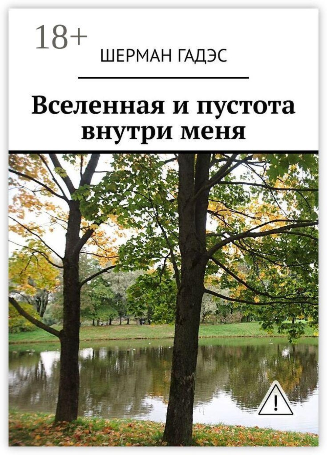 Обложка книги «Вселенная и пустота внутри меня»