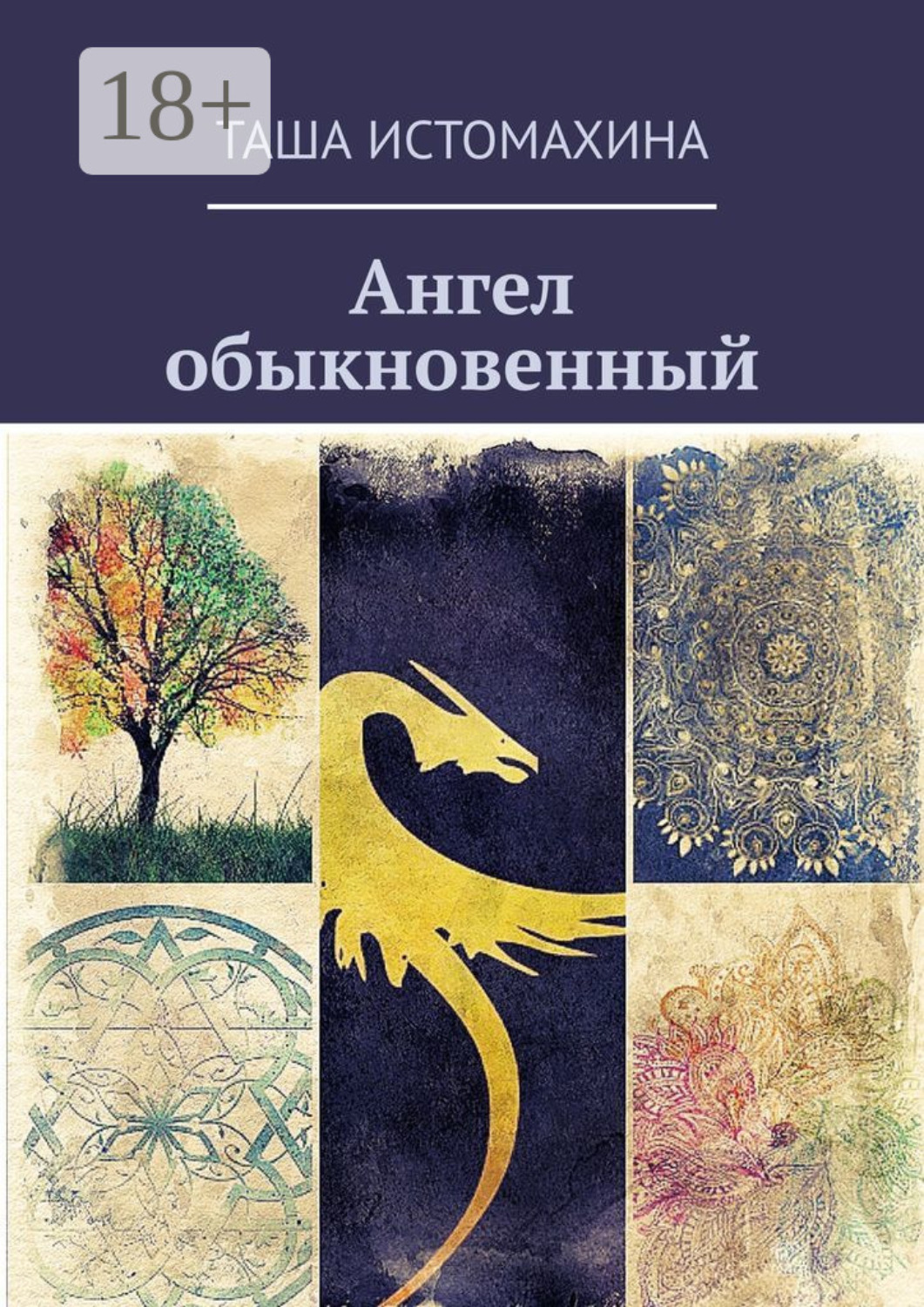 Обложка книги «Ангел обыкновенный»