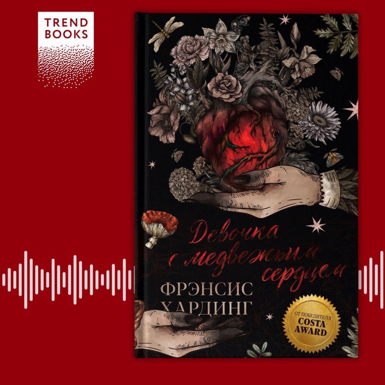 Обложка книги «Девочка с медвежьим сердцем»