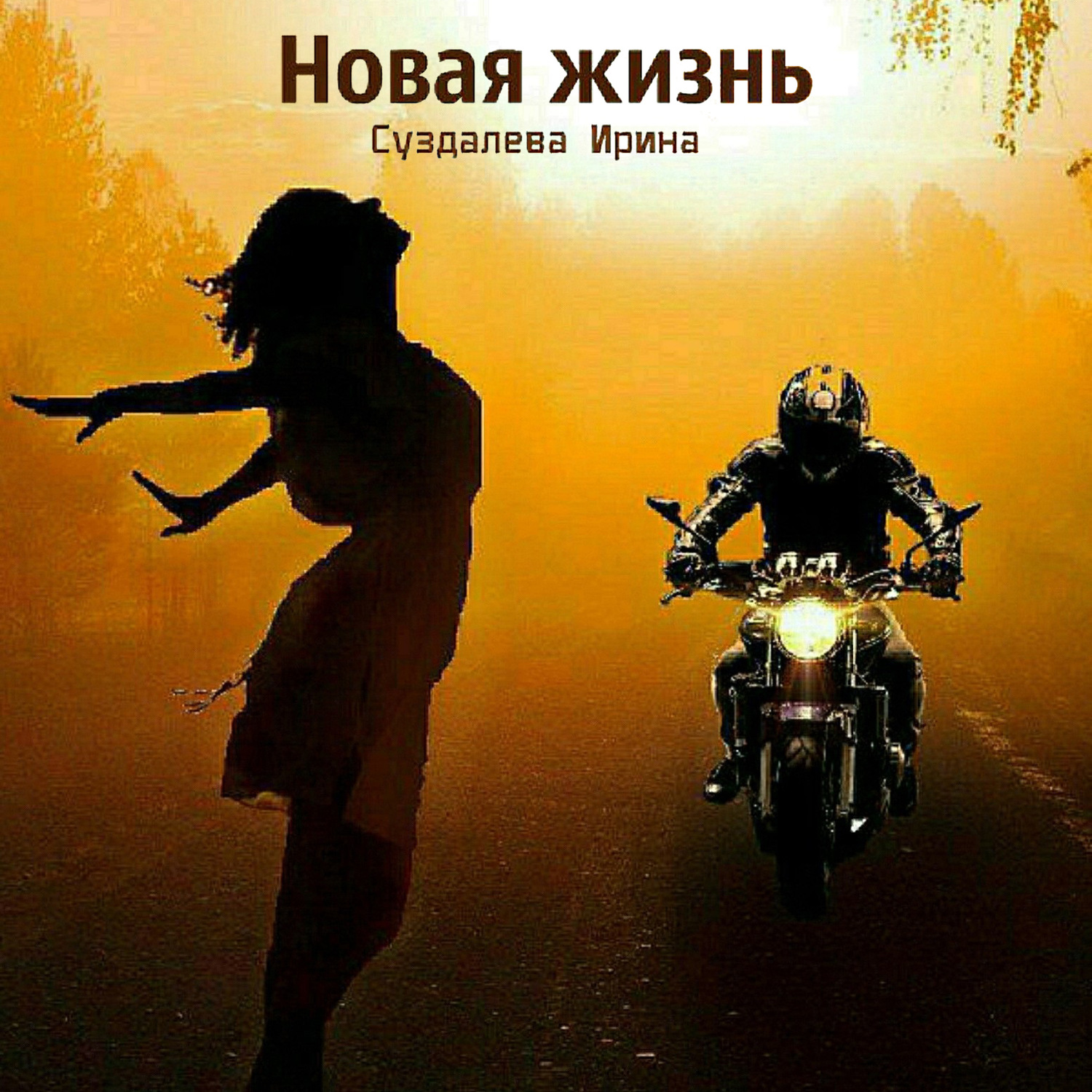 Обложка книги «Новая жизнь»