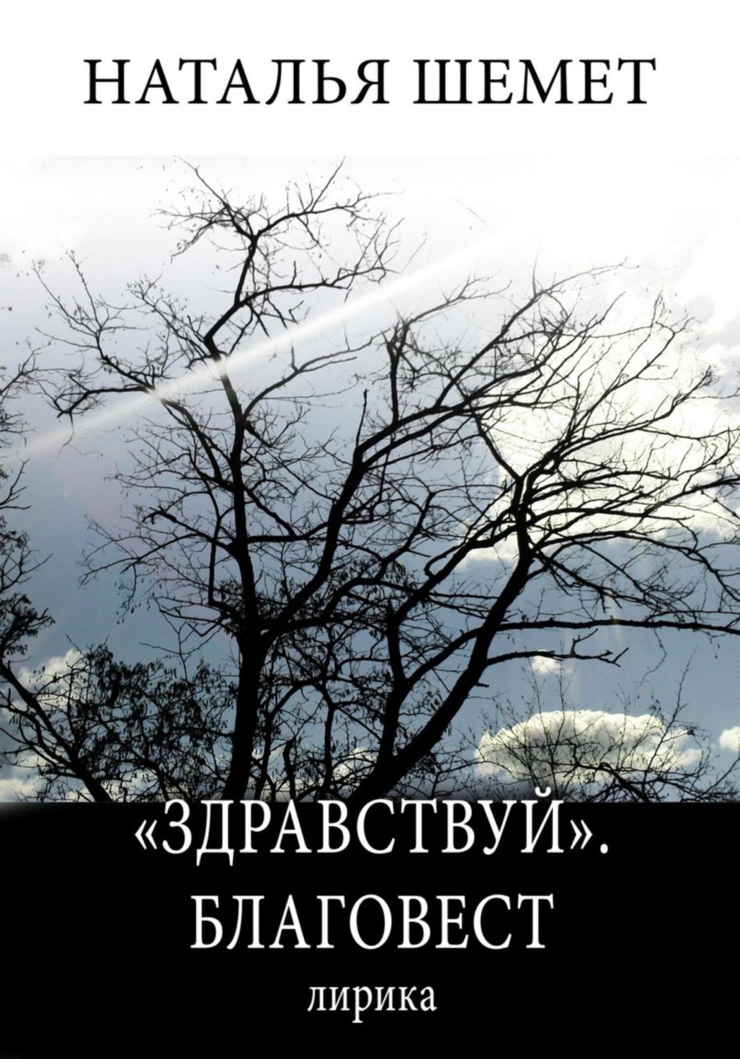 Обложка книги ««Здравствуй». Благовест»