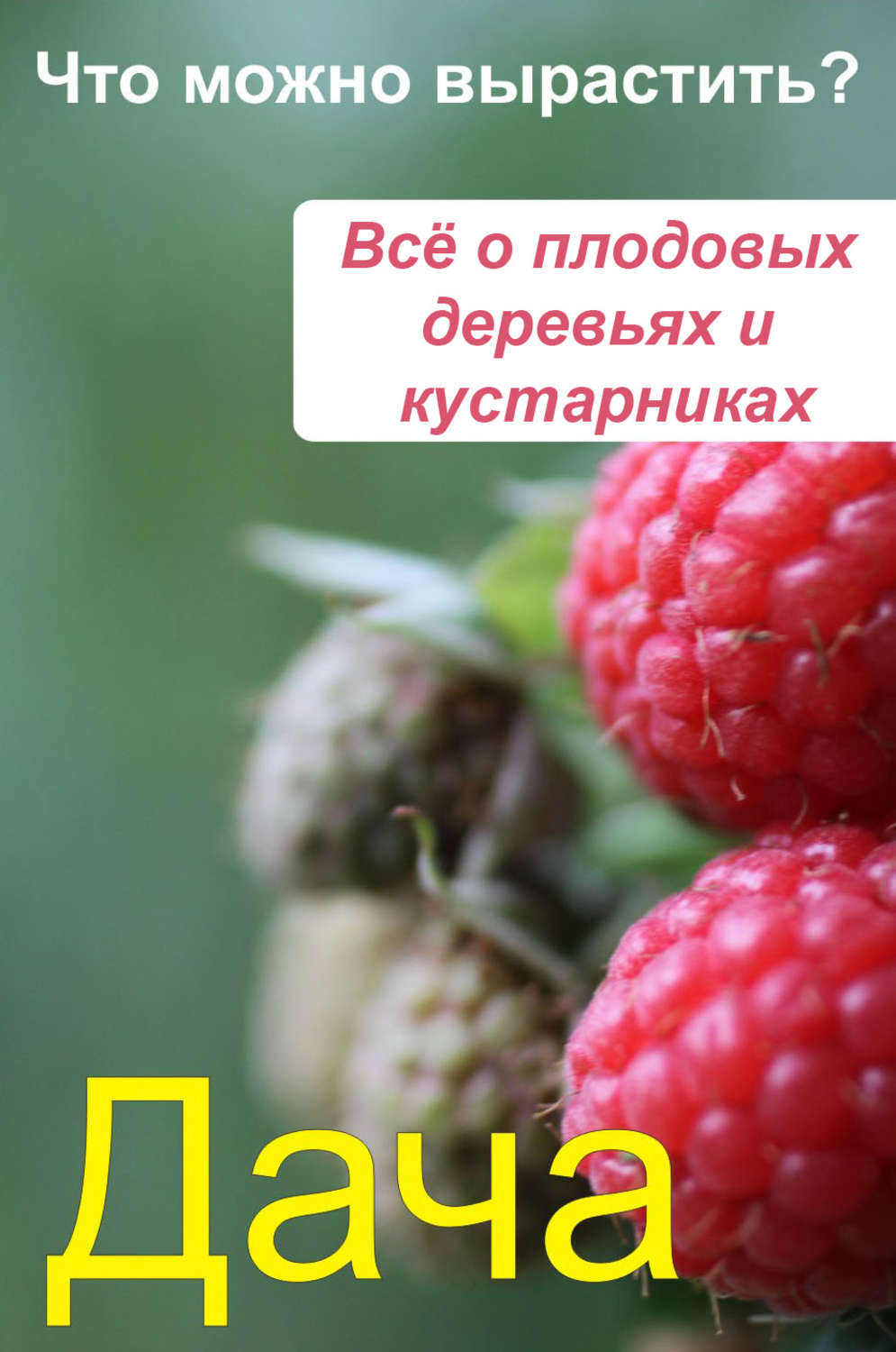 Обложка книги «Что можно вырастить? Всё о плодовых деревьях и кустарниках»