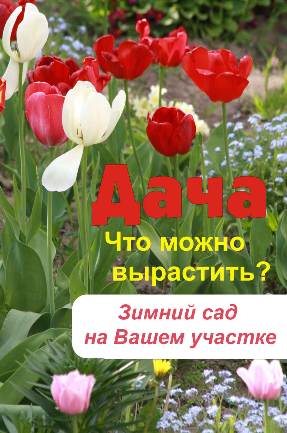 Обложка книги «Что можно вырастить? Зимний сад на вашем участке»