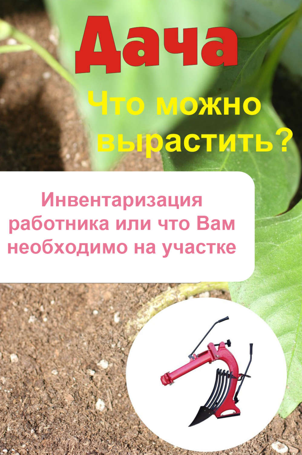 Обложка книги «Что можно вырастить? Инвентаризация работника, или Что вам необходимо на участке»
