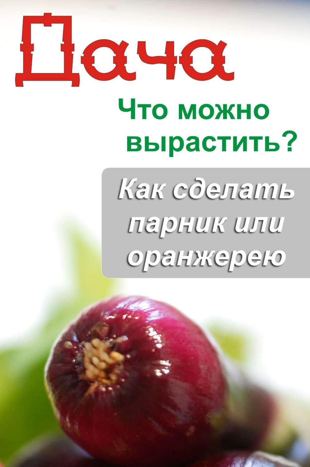 Обложка книги «Что можно вырастить? Как сделать парник или оранжерею»