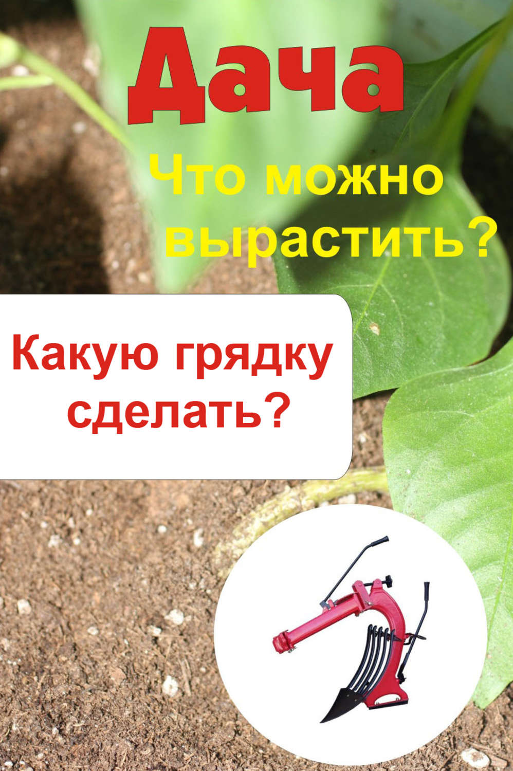 Обложка книги «Что можно вырастить? Какую грядку сделать?»
