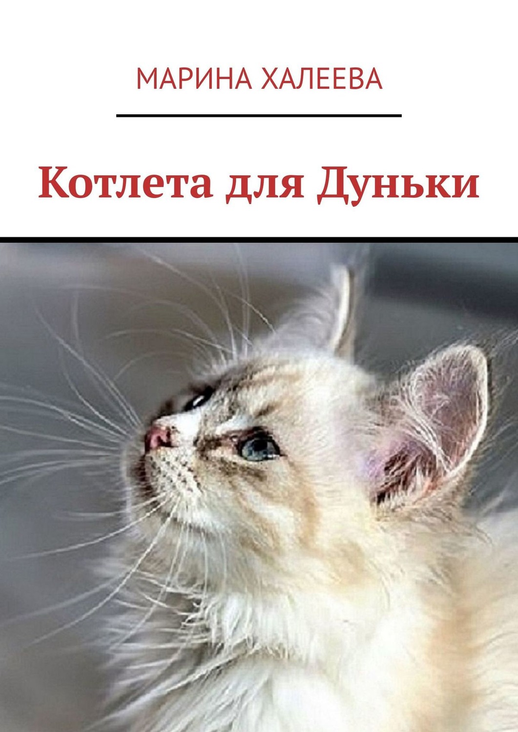 Обложка книги «Котлета для Дуньки»