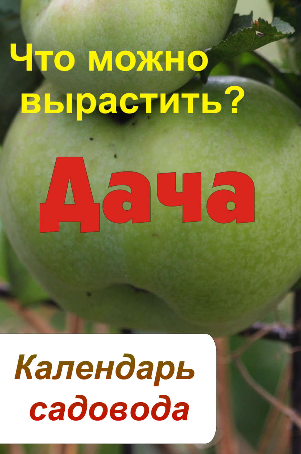 Обложка книги «Календарь садовода. Что можно вырастить?»