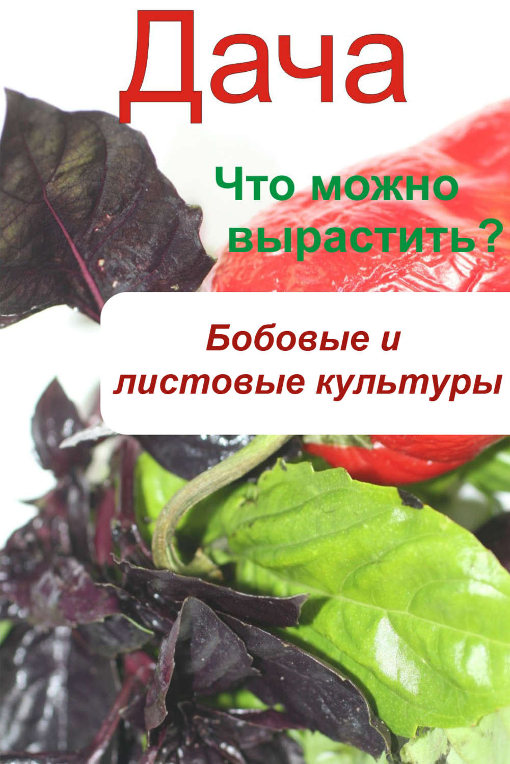 Обложка книги «Что можно вырастить? Огород. Бобовые и листовые культуры»