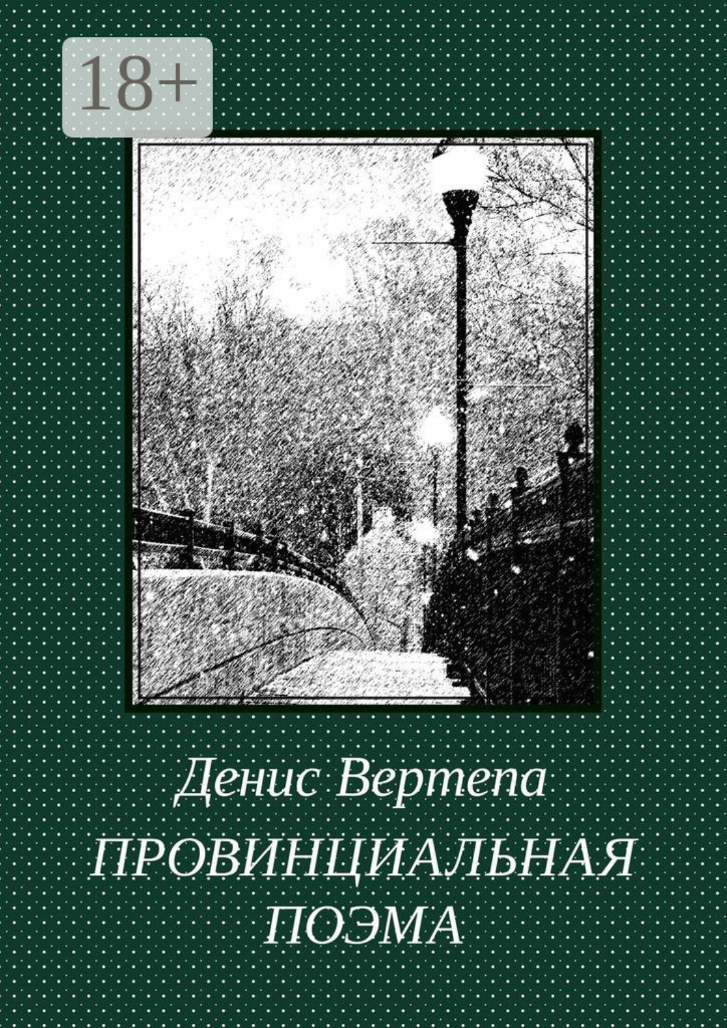 Обложка книги «Провинциальная поэма. Роман в стихах»