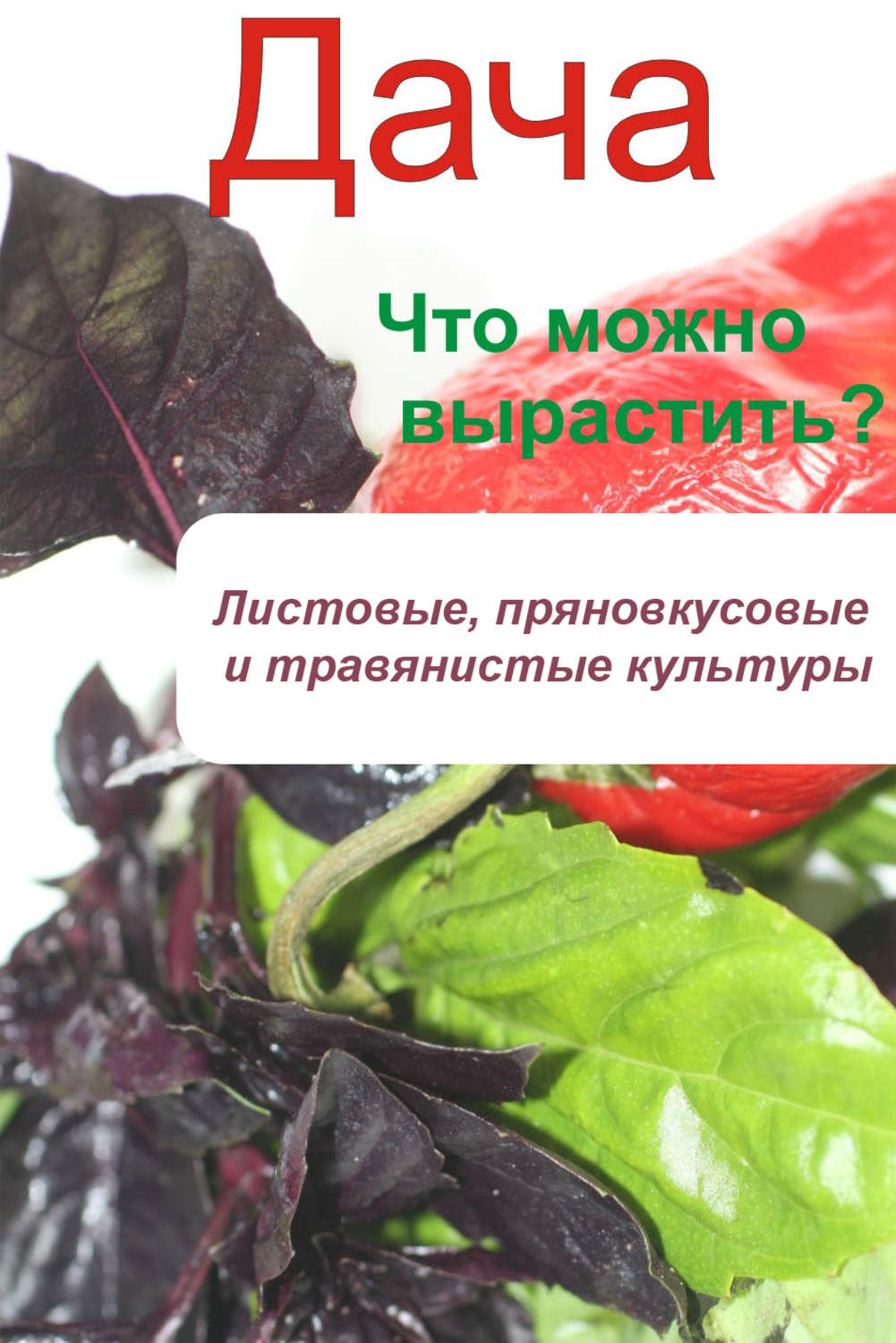 Обложка книги «Что можно вырастить? Листовые, пряновкусовые и травянистые культуры»