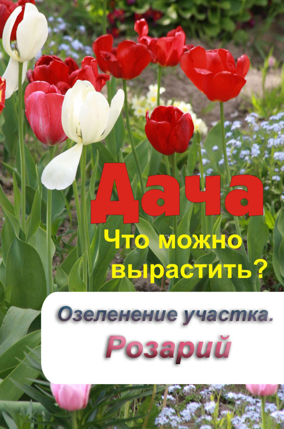 Обложка книги «Что можно вырастить? Озеленение участка. Розарий»