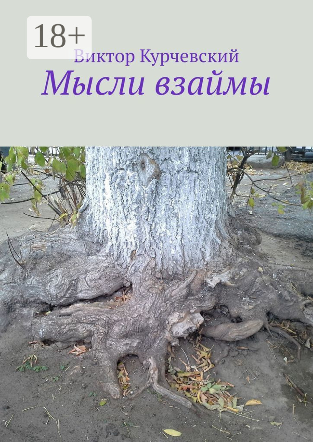 Обложка книги «Мысли взаймы»