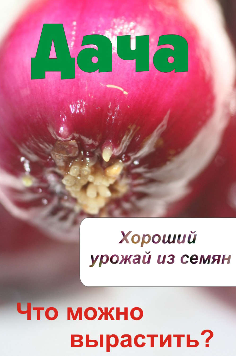 Обложка книги «Что можно вырастить? Хороший урожай из семян»