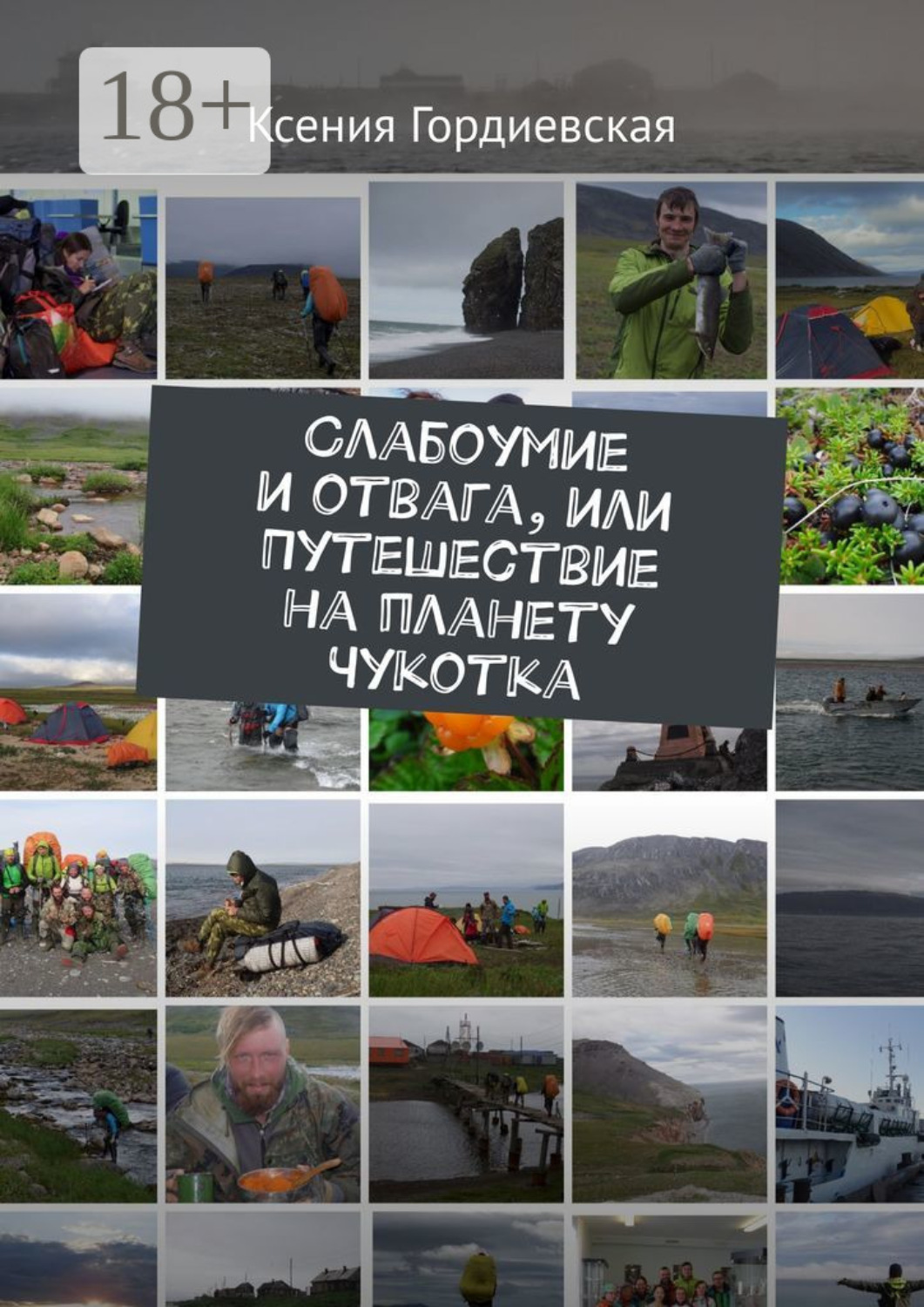 Обложка книги «Слабоумие и отвага, или Путешествие на планету Чукотка»