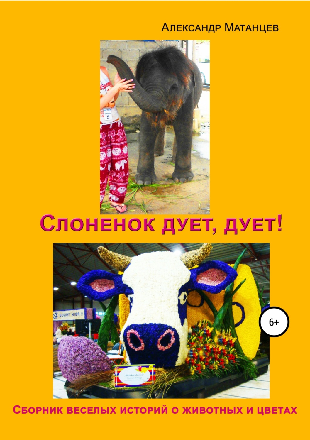 Обложка книги «Слоненок дует, дует!»