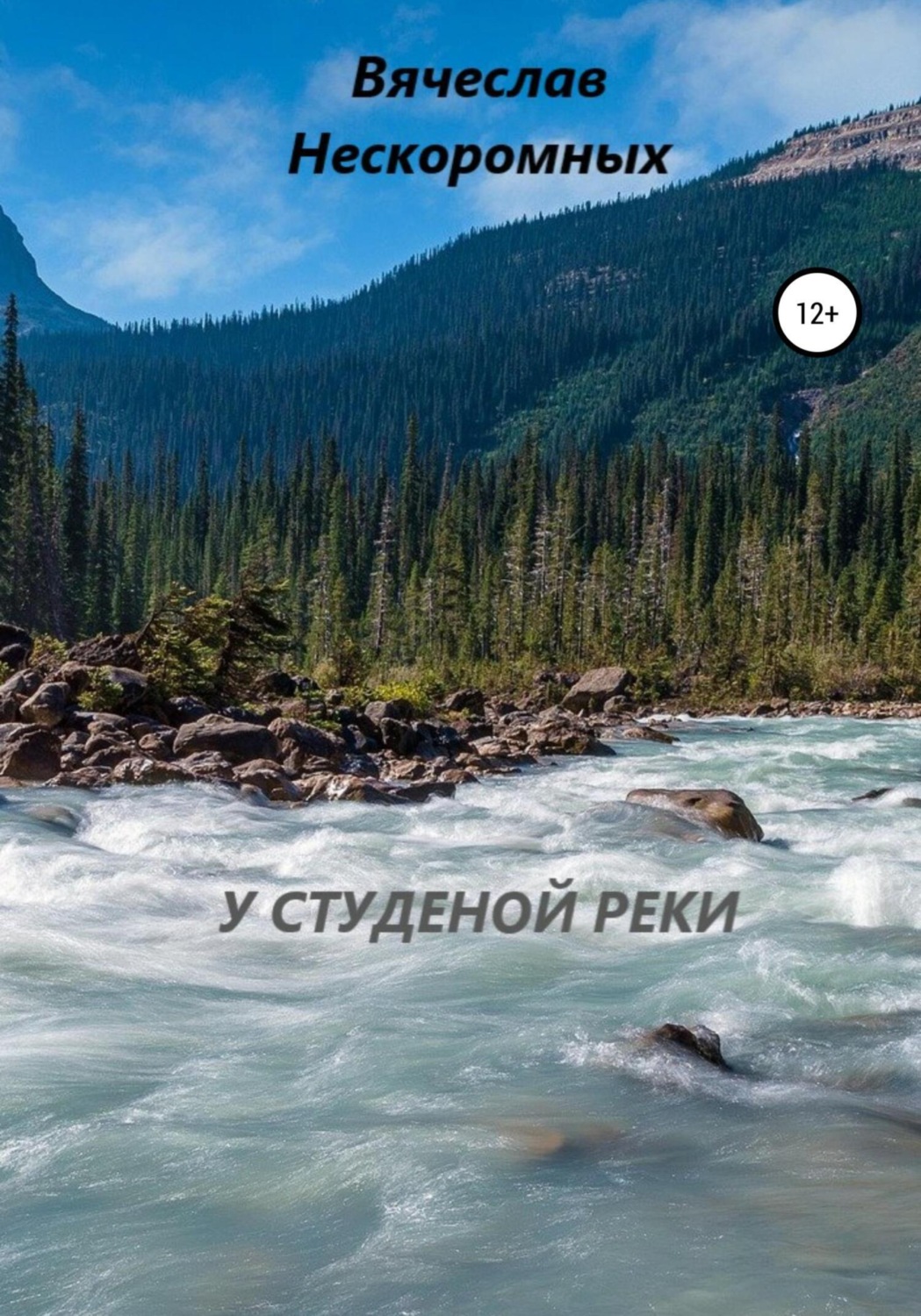Обложка книги «У студёной реки»