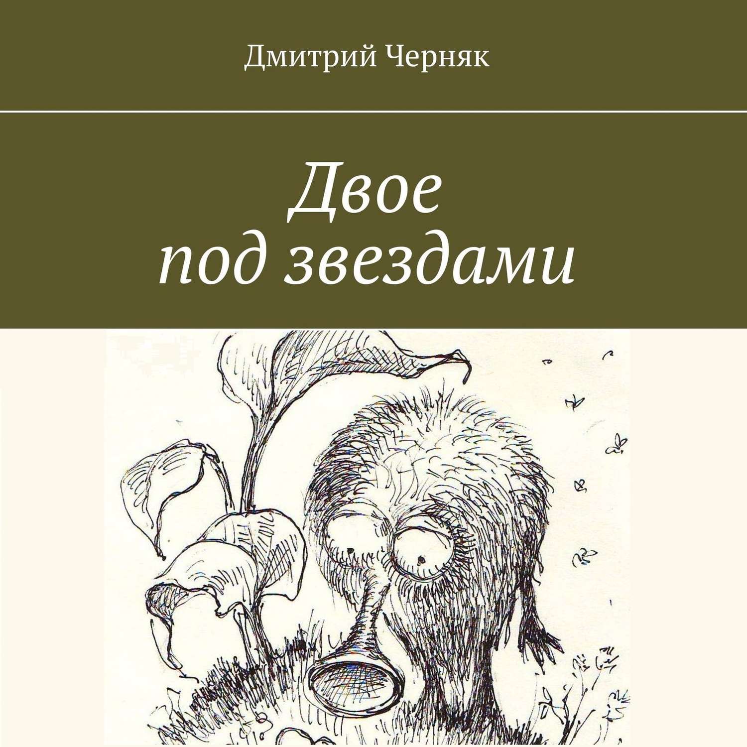 Обложка книги «Двое под звездами»
